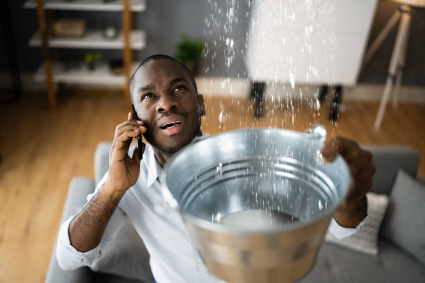 Best Mold removal after water damage  in Edina, MO