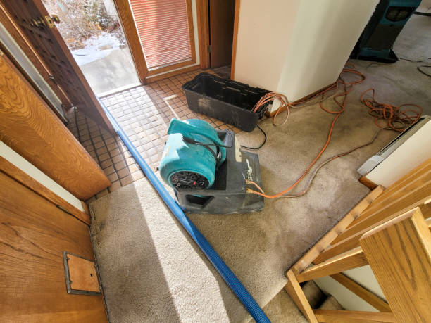 Best Water damage restoration cost  in Edina, MO