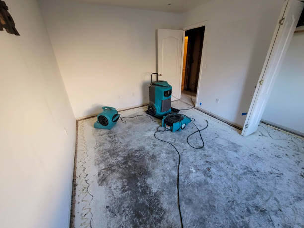 Best Mold removal after water damage  in Edina, MO