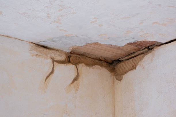 Best 24-hour water damage restoration  in Edina, MO