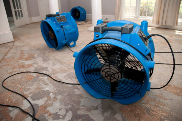 Best Sewage cleanup and water damage restoration  in Edina, MO