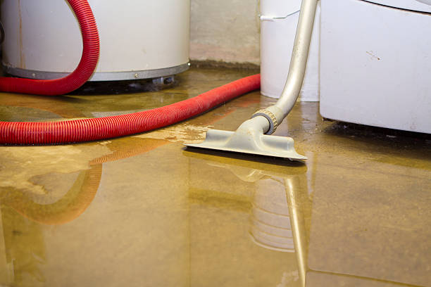 Best Flooded house restoration  in Edina, MO