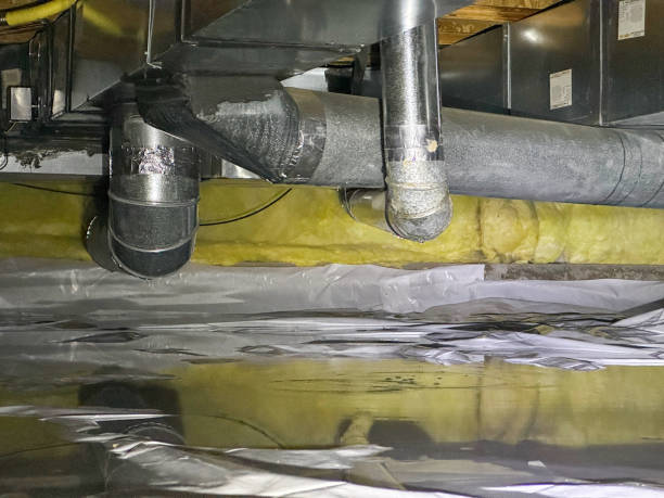 Best Water damage cleanup near me  in Edina, MO