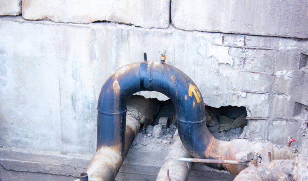 Best Water damage contractors near me  in Edina, MO