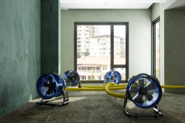 Best Local water damage restoration  in Edina, MO